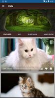 برنامه‌نما Cats عکس از صفحه