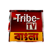 Tribe TV 图标