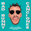BAD BUNNY 2023 SIN INTERNET