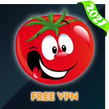 Tomato VPN