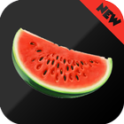 Melon VPN Free 图标