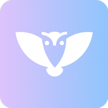 Owl VPN: Secure and Fast