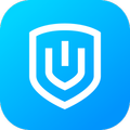 VPN-1