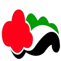 UAE VPN