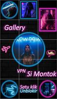 Si montoK BULE - VPN PLUS screenshot 1