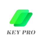 Key Pro icône