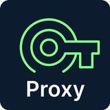 Secure VPN Proxy Master APK