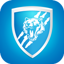 vpn browser tiger APK