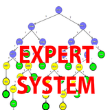 Mobile Expert System