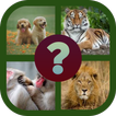 Animal quiz