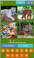 Animal quiz پوسٹر