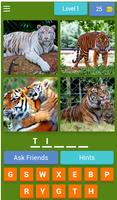 Animal quiz-poster