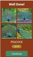 1 Schermata Birds Quiz