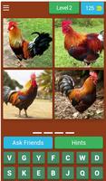 2 Schermata Birds Quiz