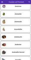 Crystal and Gem Guide Pro 540 تصوير الشاشة 3