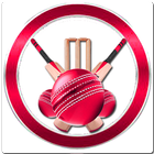Cricket Spot - Cricket Live Line - IPL 2019 icono