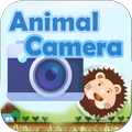 Animal Camera AR