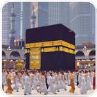 Virtual Muslim 3d icon
