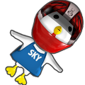 Sky Chicken