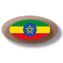 APK Ethiopian apps