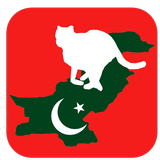 Pakistani apps and games. ikona
