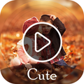 Cute Video Status Maker