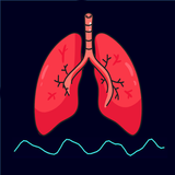 Respiratory Rate Monitor