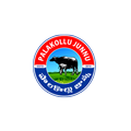 palakollujunnu.com