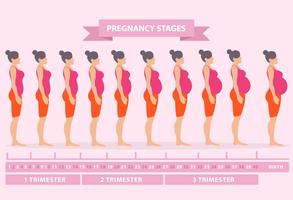Pregnancy App Week by Week Tracker imagem de tela 1