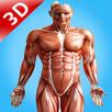 Human Anatomy 3D : Human Organs and Bones APK