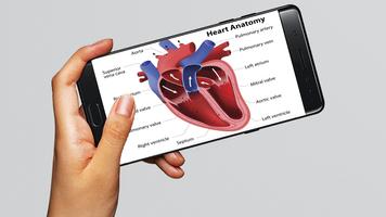 Human Anatomy 3D : Human Organs and Bones imagem de tela 2