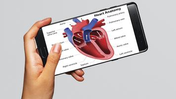 Human Anatomy 3D : Human Organs and Bones 스크린샷 2