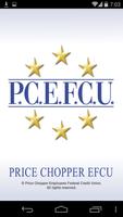 PCEFCU eScan-poster