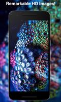 Coral Wallpapers screenshot 1