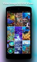 Coral Wallpapers screenshot 2