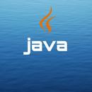 Learn Java Course Pro APK