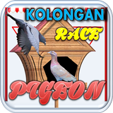 Kolongan Pigeon Race icône