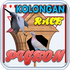 Kolongan Pigeon Race ikon