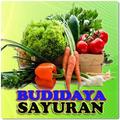 Budidaya Buah dan Sayuran