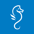 DiveApp أيقونة