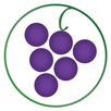 Wines Til Sold Out  (WTSO) APK