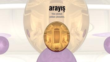 Arayış постер