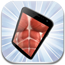 WoWiz - Workout Wizard APK