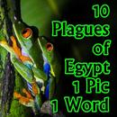 1 Pics 1 Word Game LCNZ 10 Plagues of Egypt Game APK