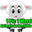 1 Pic 1 Word Animals in Bible 