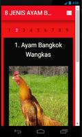 8 Jenis Ayam Bangkok Juara স্ক্রিনশট 2