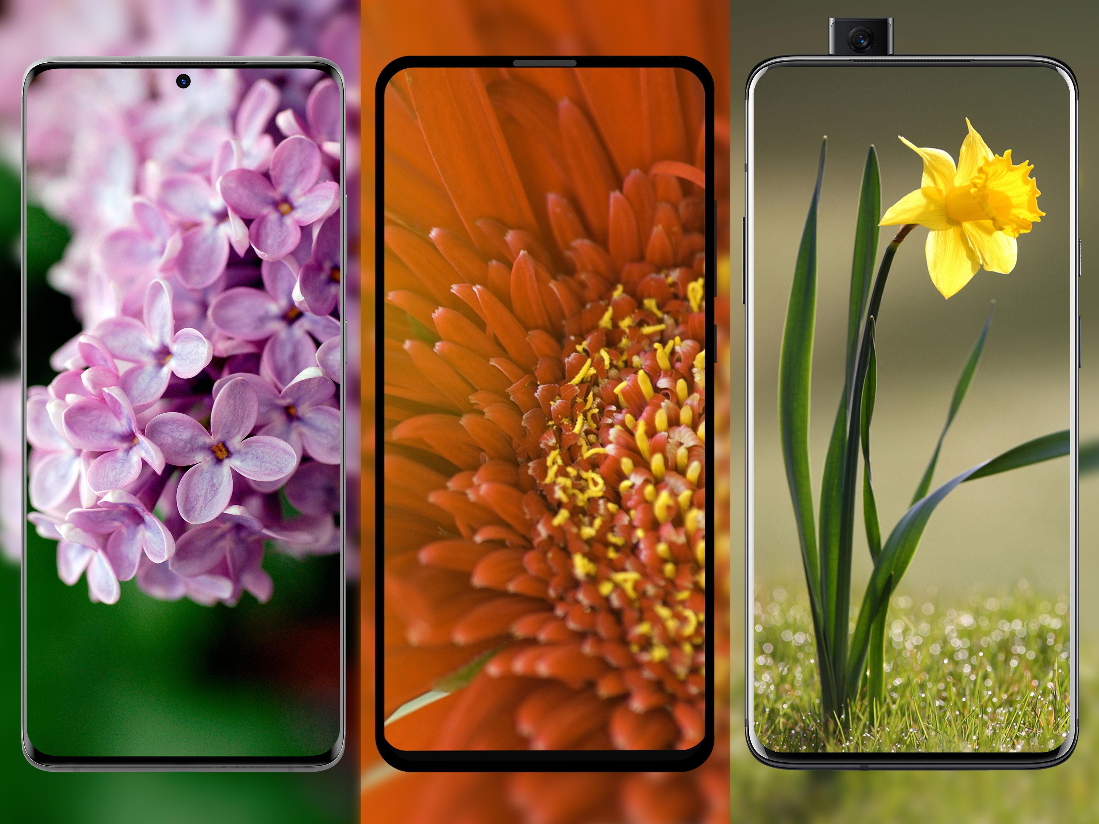 Flowerwall Flower Wallpapers Hd 2k 4k For Android Apk Download - flowery roblox aesthetic