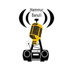 Nammur Banuli-icoon