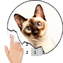 Фотографии кошек по цвету - Pixel Art APK