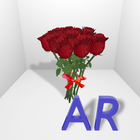 Valentine's Day Augmented Real icône